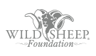 Wildsheep Foundation